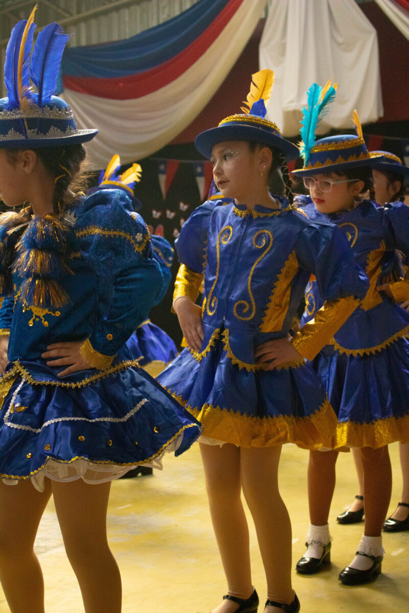 Danza del norte en azul y dorado